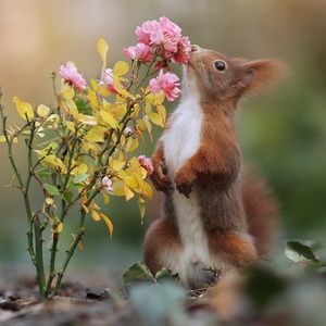 Meet your Posher, Lei